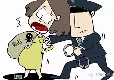 2016年初，涉縣警方查獲一起涉毒案件，鑒于該案涉案人員多、毒品交易量大，涉縣警方立即將案情上報，被公安部確立為“目標(biāo)-2016-314”號毒品案件。涉縣警方成立專案組，經(jīng)過多方追查，先后抓獲團(tuán)伙人員13名，繳獲毒品5349克，并查明上線“濮姐”的真實(shí)身份為陳某。